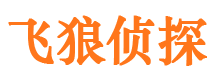 沙河市侦探调查公司